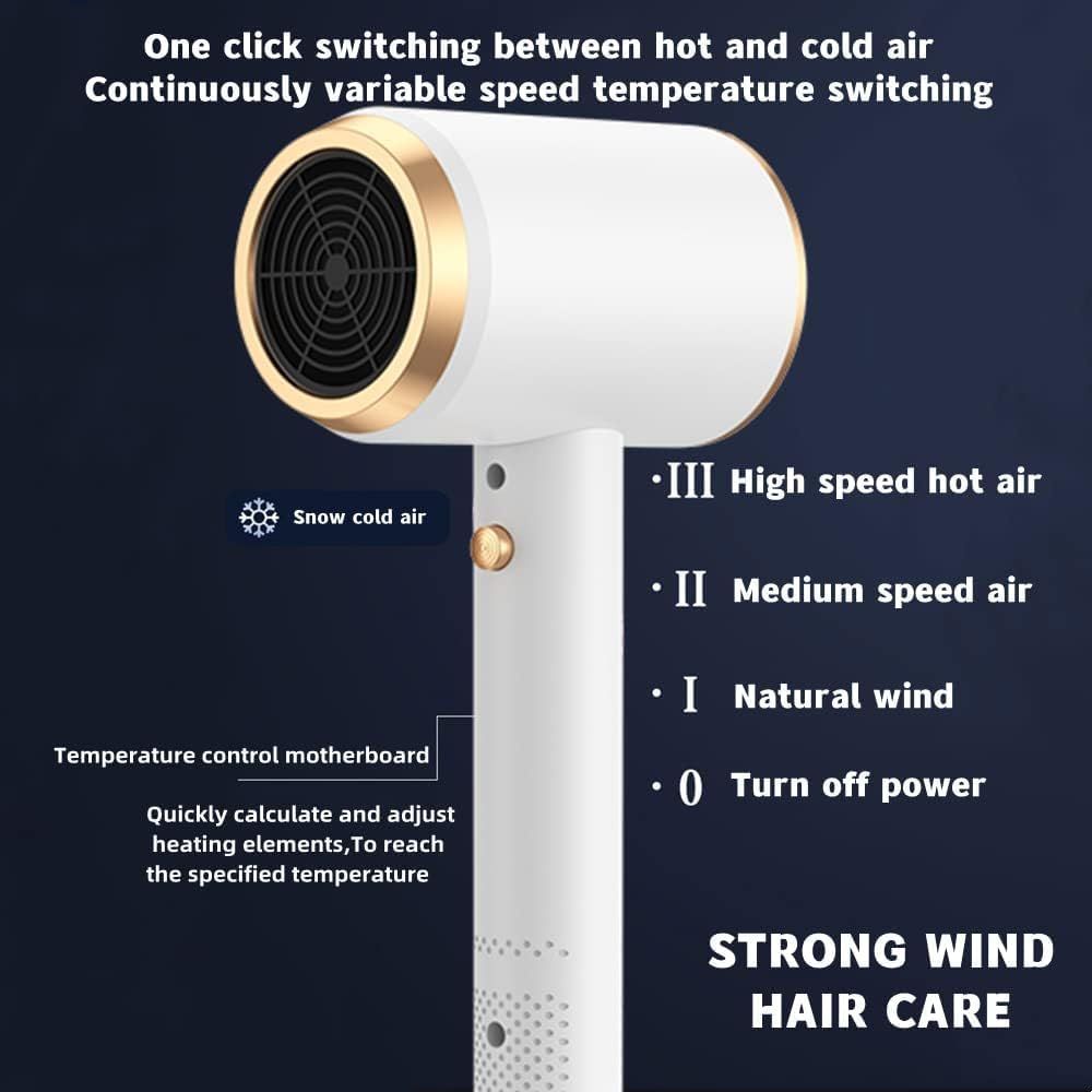 Professional Hair Dryer